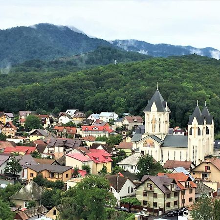 Mountain View Escape Daire Braşov Dış mekan fotoğraf