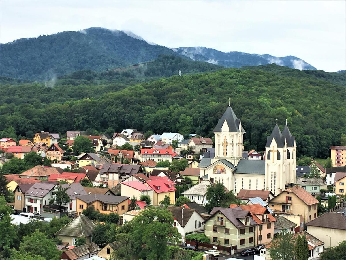 Mountain View Escape Daire Braşov Dış mekan fotoğraf