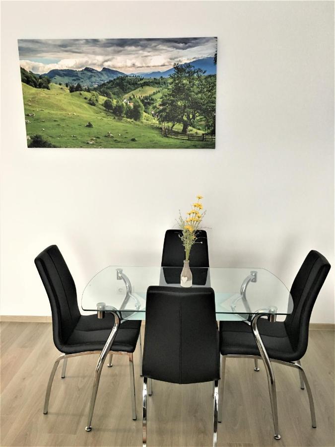 Mountain View Escape Daire Braşov Dış mekan fotoğraf